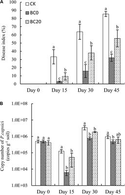 Biochar-Mediated Control of Phytophthora Blight of Pepper Is Closely Related to the Improvement of the Rhizosphere Fungal Community